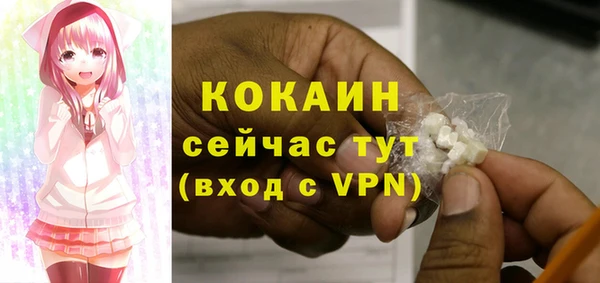 ПСИЛОЦИБИНОВЫЕ ГРИБЫ Верхний Тагил