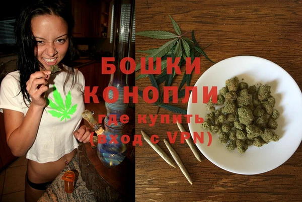 ПСИЛОЦИБИНОВЫЕ ГРИБЫ Верхний Тагил
