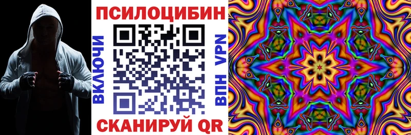 Купить  Строитель  Псилоцибиновые грибы Cubensis 